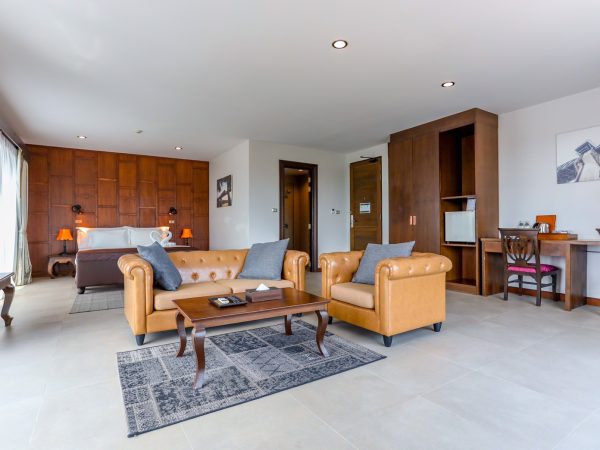 Studio Suite Panorama View 1.1